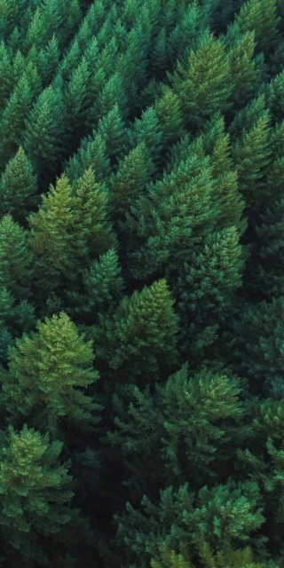 ng������Ϸ��(�й���)�ٷ���վ