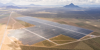 ng������Ϸ��(�й���)�ٷ���վ