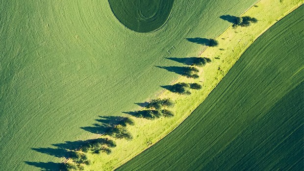 ng������Ϸ��(�й���)�ٷ���վ